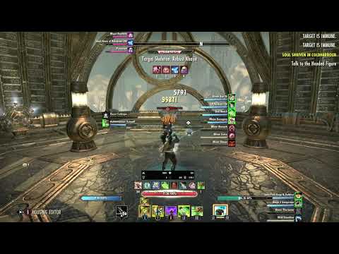 ESO 52k Warden Bow Bow Solo 6 Mil Parse (Wrathstone PVE)