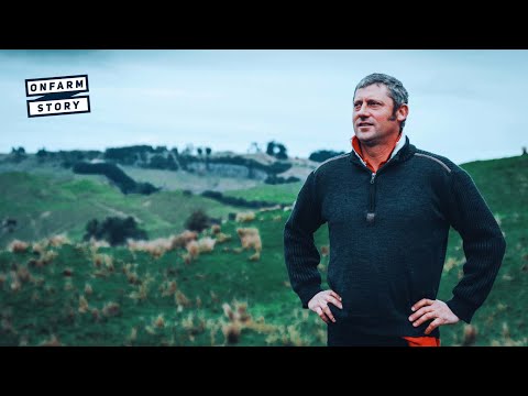 Sheep and Beef Farm – Telling New Zealand’s Positive Farming Story | On Farm Story