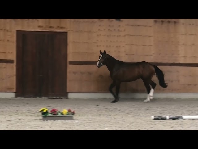 Gaits