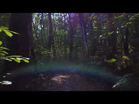 Tîrgoviste, Romania with DJI MINI 2