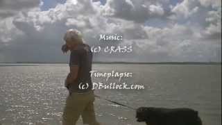 Canvey Island Walls ~ CRASS