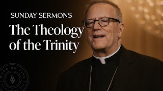 The Theology of the Trinity - Bishop Barron's Sunday Sermon