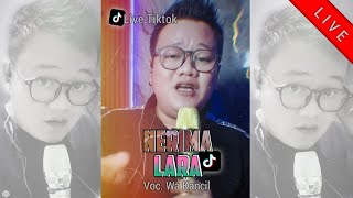 Download lagu WA KANCIL - NERIMA LARA || Cover Live [Tiktok] Lagu Tarling mp3
