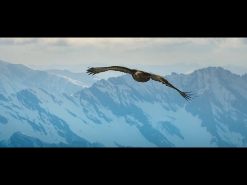 "Kitzsteinhorn – THE GLACIER” Imagefilm Kitzsteinhorn Zell am See-Kaprun