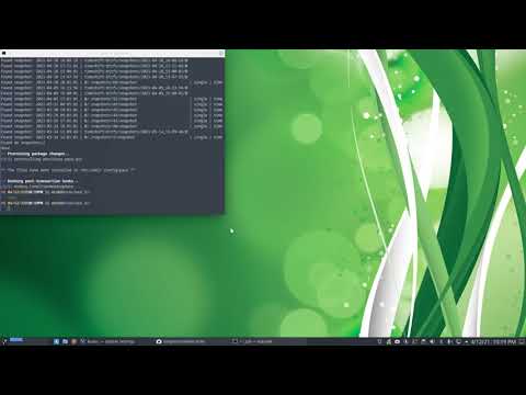 ArcoLinux : 1957 Installing and using paru - options - config file