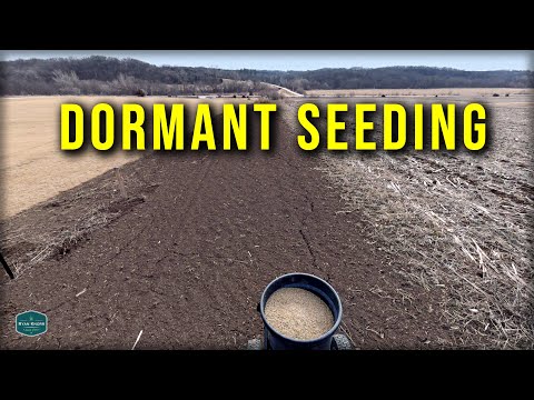 Planting Grass Seed Before A Snow Storm // Dormant-Frost Seeding Info