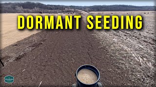 Planting Grass Seed Before A Snow Storm // Dormant-Frost Seeding Info