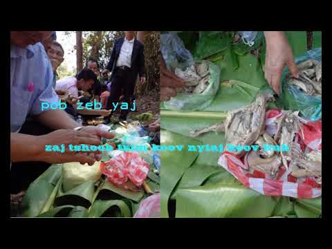 zaj tshoob tsim koov nyiaj koov kub(pob zeb yaj 2019)