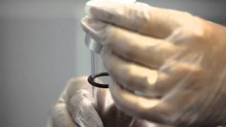 How to replace Rainfresh UV lamp and clean quartz dome