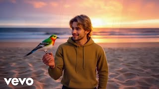 Nikolas Gough - Sorry My Friend (Official Music Video)