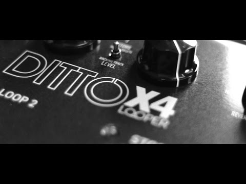 Ditto X4 Looper - official product video