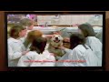 Madeline 1998 VHS Trailer