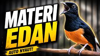 Download lagu MURAI BATU FULL ISIAN TEMBAKAN MEWAH KRETEKAN KERAS SANGAT AMPUH MELATIH MURAI BATU BONGKAR ISIAN mp3
