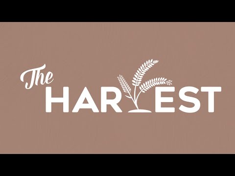 The Harvest Sermon Series