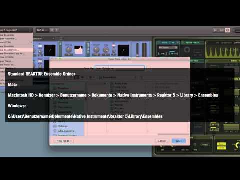Unterschiede zwischen einem REAKTOR Instrument, einem REAKTOR Ensemble und einem KOMPLETE Instrument