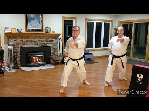 Home Shotokan Karate Training - January 20 2021