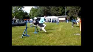 preview picture of video 'Agility: Turnier-Nachlese SV OG Ehingen'
