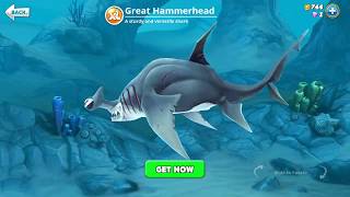 hungry shark world, great hammerhead (3D Motion)