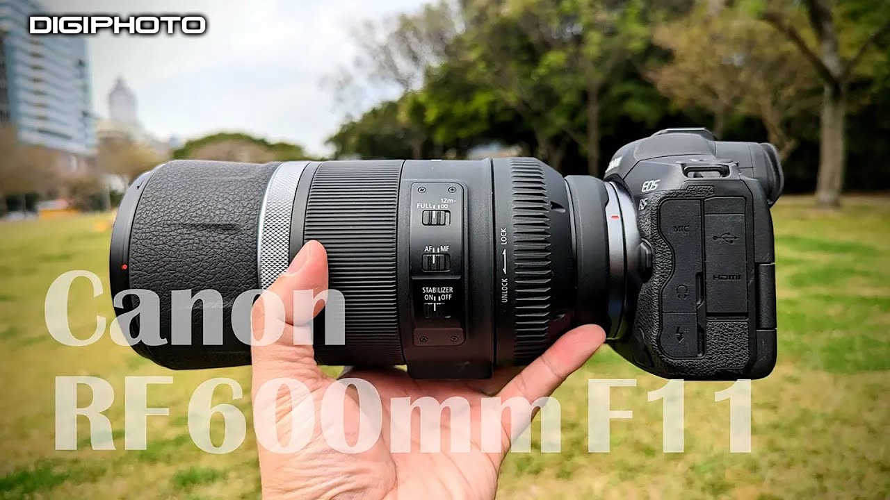 【器材評測】Canon RF 600mm F11 IS STM 平價大砲鏡頭操控初體驗與選購建議
