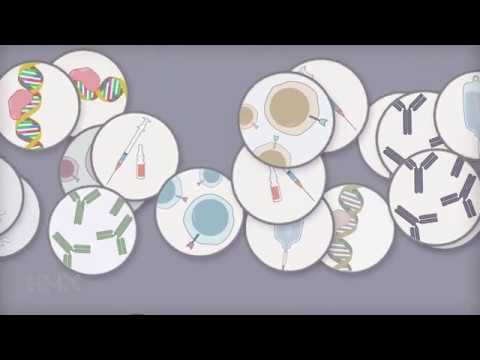 HMX Pro Genetics – Cancer Genomics and Precision Oncology