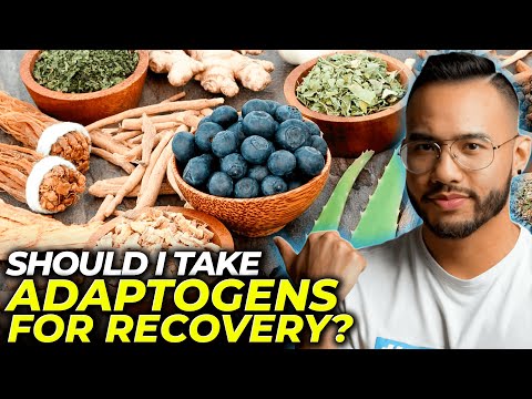Watch on YouTube: Adaptogens and CFS: A Nervous System Perspective