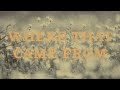 Randy Travis - Where That Came From (Lyric Video)