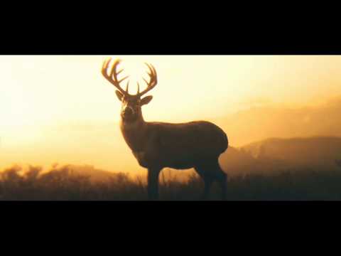 BronxXxBass - Cowboys auf Koks