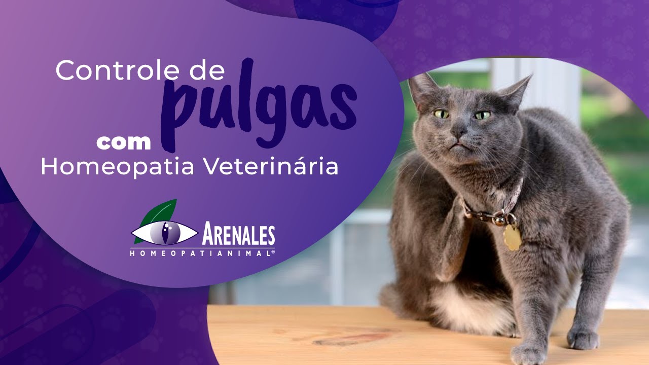 Arenales Homeopatia Animal