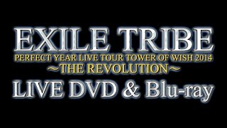 EXILE TRIBE / 「EXILE TRIBE PERFECT YEAR LIVE TOUR TOWER OF WISH 2014 〜THE REVOLUTION〜」LIVE DVD