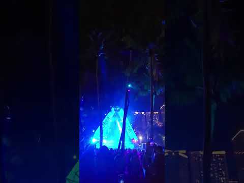 Wade live at Ultra Miami 2024