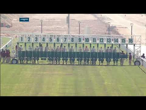 14th Al Uqda meeting - RACE 3