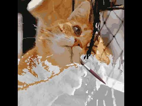 Color by Number - cat