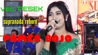 Download lagu Supranada REBORN // PAMERBOJO // CENDOL DAWET. Segerrrrrrr mp3 Download lagu Supranada REBORN // PAMERBOJO // CENDOL DAWET. Segerrrrrrr mp3