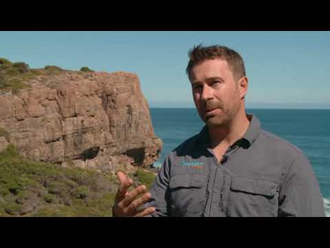 Cape to Cape Track Guided Tour in Western Australia, by Inspiration Outdoors