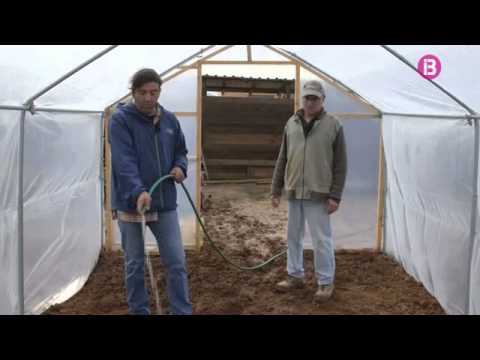 Preparar la terra per sembrar d'un hivernacle 2/2
