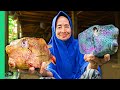 Indonesia’s Rarest Tribal Foods from West to East!! (Full Documentary)