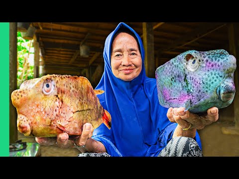 Indonesia’s Rarest Tribal Foods from West to East!! (Full Documentary)
