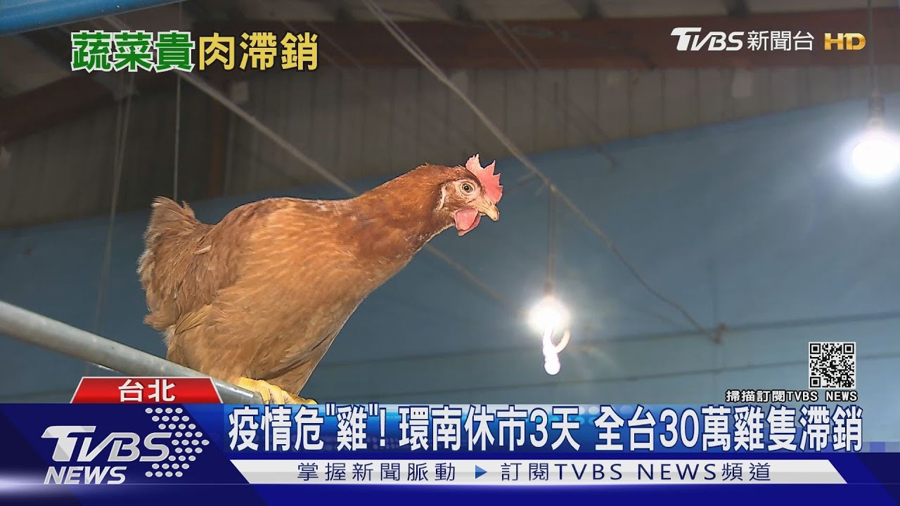 疫情危「雞」！環南市場休市三天全台30萬雞隻滯銷　雞農好急！