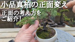小品真柏の正面変え 正面決めの考え方をご紹介！