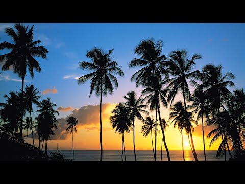 KAYUD - ROSEWELL, IAN, NAPIMAC, SOCRAM, MC FELLA