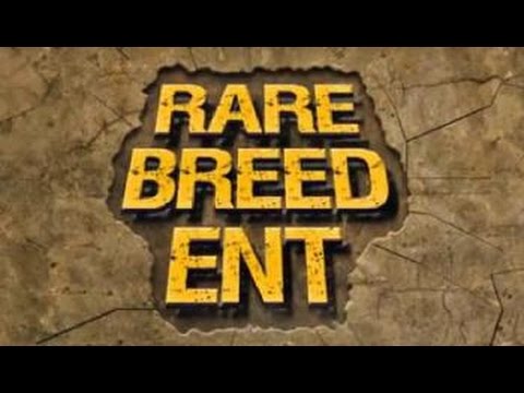 QB vs Official;  QB vs Showoff ( recap )