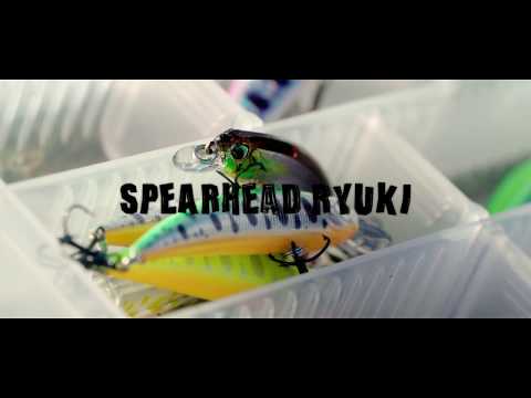 Spearhead Ryuki, the king of trout