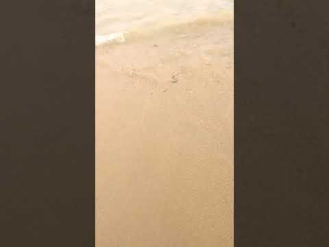 30 Second of Beach Time!
