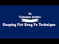 Sleeping Fist Kung Fu Technique