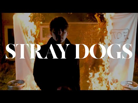 The Dead Freights - Stray Dogs (Official Video)