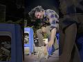 Street Dogs Are Love Azmaik Reality Viral Hearttouching Humanity Dog Azmaikshorts