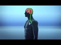 Chinese surgeons use brain implants to treat drug addiction