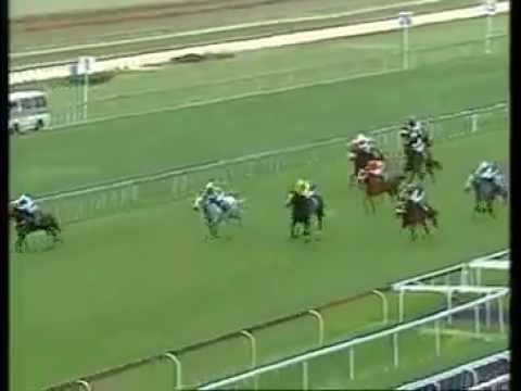 2012-12-29 Turffontein - race 4