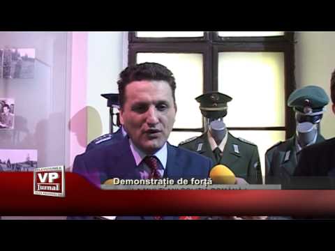 Demonstratie de forta