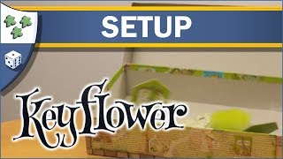 Keyflower video thumbnail